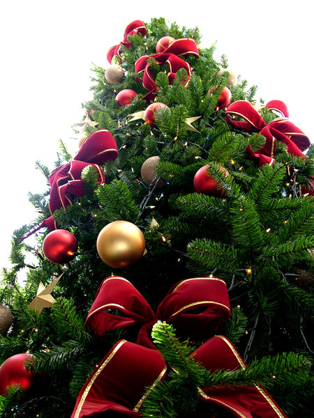 Carasco: 20 alberi di Natale, addobbati anche con materiali riciclati, in mostra nell'Abbazia di Nostra Signora della Misericordia