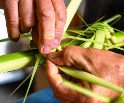 domenica 13 aprile, Rapallo: la tradizionale "Festa delle palme e dell'ulivo"