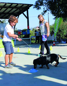 Poppy, da Pavia ad Uscio per la Festa del Cane