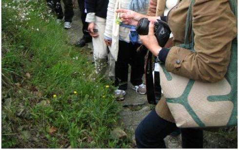 sabato  19 maggio, da Pegli a Bogliasco: "gita delle erbe", con la guida botanica a raccogliere il  "preboggion" e poi a con lo chef imparare a fare i pansoti e la salsa di noci, per concludere tutti a tavola allegramente