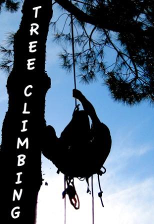 SABATO 19 GENNAIO: OPEN DAY all'istituto marsano con tree climbing, degustazioni e musica