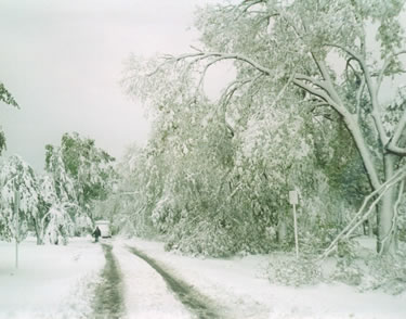 TORMENTA DI NEVE IN VALLE STURA, 35 CENTIMETRI IN DUE ORE, NEVICA FITTO DALLA VAL POLCEVERA ALLA VAL D'AVETO
