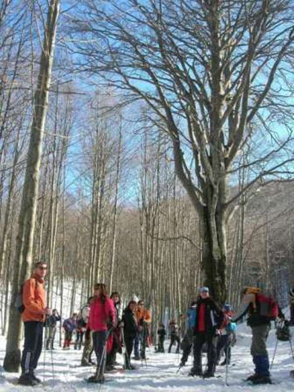 DOMENICA 9 FEBBRAIO, PARCO DELL'AVETO: SCOPRI IL PARCO CON LE RACCHETTE DA NEVE ALLA FORESTA DELLE LAME