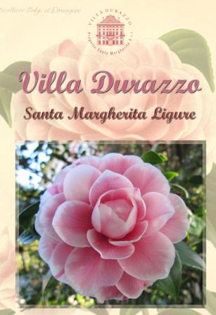 Domenica 16 marzo, Santa Margherita: “Antiche camelie di Villa Durazzo”