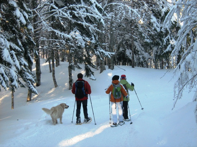 DOMENICA 25 GENNAIO: CIASPOLIAMO? Un percorso suggestivo con le racchette da neve nella Foresta del Monte Penna