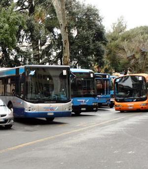 Al via nuova linea BUS "mare e salute": un'unica corsa che collega a spiagge e ospedali