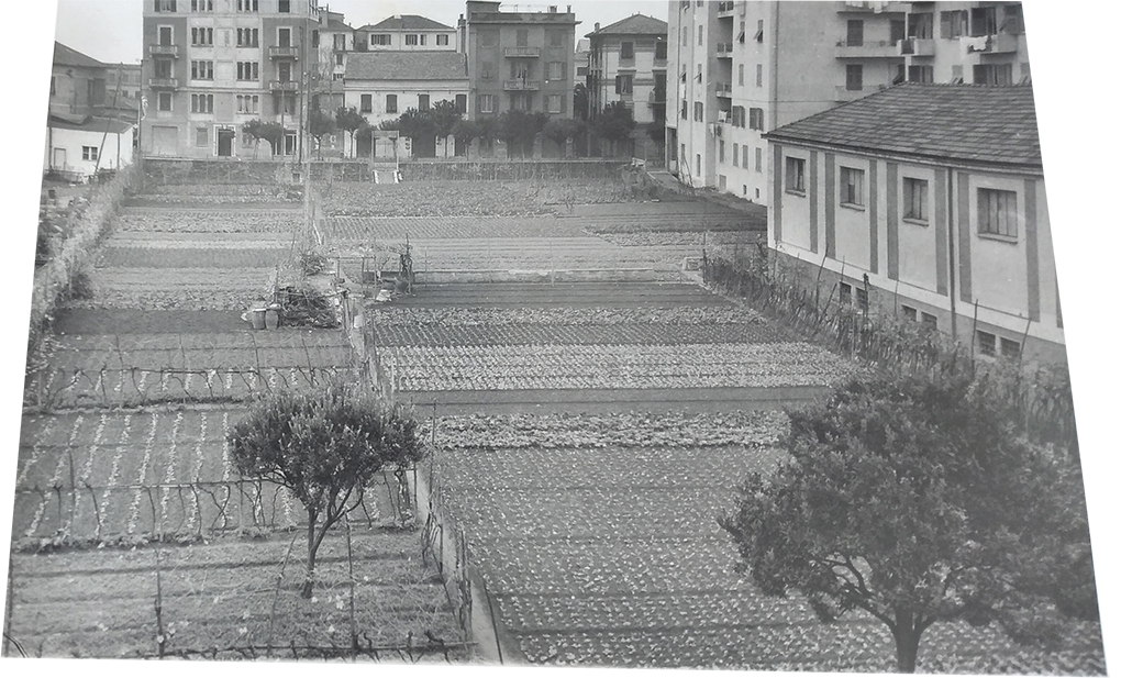 La Chiavari degli ortolani - Di quando c'erano gli orti e una volta l'anno mio padre tornava prima dai campi per vestirsi a festa e portare in processione la nostra Madonna


